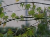 DSC00874