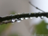 DSC00875_2