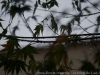 DSC00877