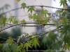 DSC00879