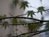 DSC00881