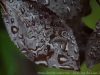 DSC00896