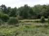 DSC00907