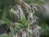 DSC00916