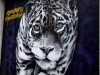 DSC00959DXO_2