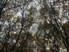 IMG_2561DXO_2