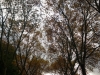IMG_2562DXO_1