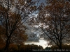 IMG_2564DXO_3