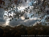 IMG_2565DXO_2