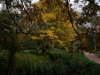 IMG_2576DXO_3