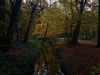 IMG_2577DXO_1