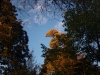 IMG_2578DXO_1