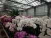 IMG_2659DXO_3