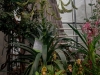 IMG_2667DXO_4