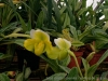 IMG_2674DXO_4