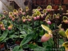IMG_2679DXO_4