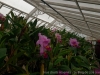 IMG_2683DXO_3