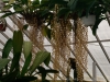 IMG_2686DXO_3