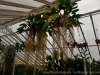 IMG_2689DXO_3