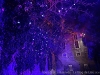 IMG_2876b