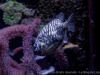 DSC01510DX0_1