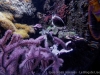 DSC01514DX0_1