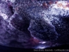 DSC01515DX0_1