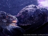 DSC01517DX0_1