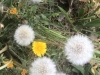IMG_014547a