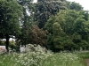 IMG_014620aDxO_1DxO_3