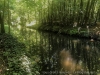 IMG_014700aDxO_2