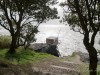 DSC01714DX0_2