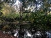 201022_4151