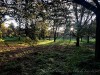 201112_4238