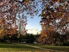 201112_4240