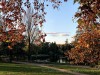 201112_4243