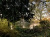 201112_4248
