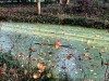 201112_4250