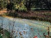 201112_4251