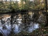 201112_4252