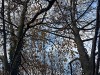 201123_4275ba