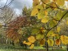 201123_4278ba