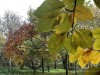 201123_4280ba