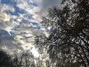 201123_4284bca