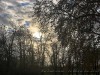 201123_4286ba
