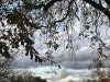 201123_4287ca