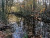 201125_4294a