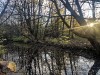 201125_4296a