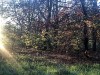 201125_4297a