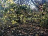 201125_4298a